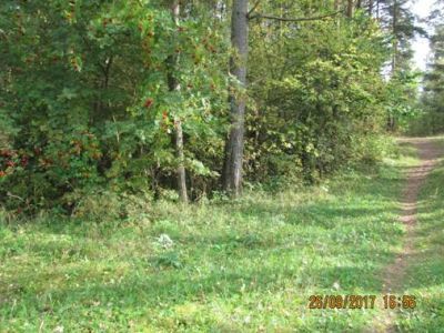 Памятник-дот на рубеже обороны советских войск в 1941 г.