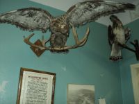 Краеведческий музей с. Лаврентия