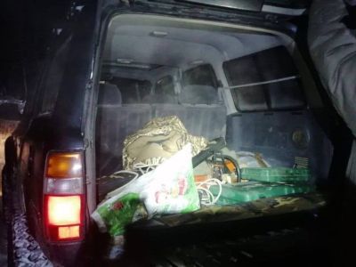 Якутян ждет административная ответственность за охоту с прожектором