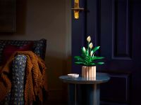 Botanicals 11504 Конструктор Спатифиллум