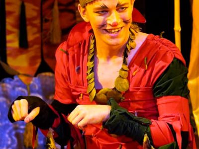 Сказание о Рикки-Тикки-Тави в девятнадцати песнях