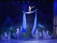 Центр циркового искусства «Цирк Арт-Алле»