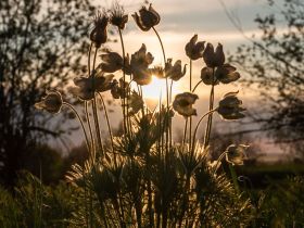 По реке Лена. Техтюр - Якутск (202 мкр.)