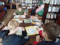 Огарево-Почковская сельская библиотека