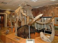 Якутский государственный объединенный музей истории и культуры народов Севера им. Ем. Ярославского