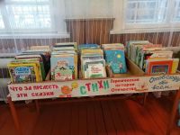 Зимниковская сельская библиотека – филиал № 11