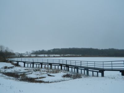 Парк с прудом