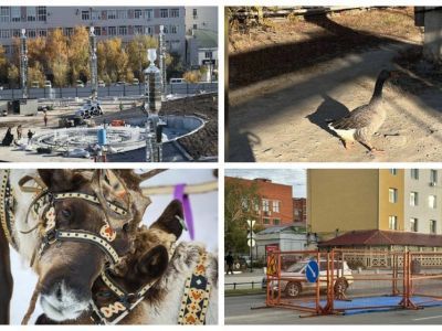 Обзор интересных и популярных новостей в Якутии за 16 сентября