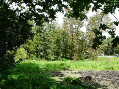 Дача Чидсон