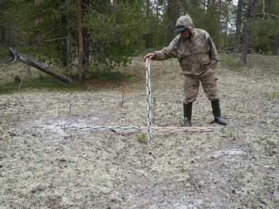 Грунтовый могильник Осетный (одиночная могила близ кладбища юрт Осетных)
