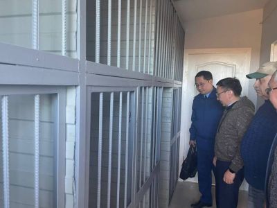 Приют для безнадзорных животных построили в Анабарском районе