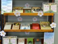 Родниковская городская библиотека – филиал № 2