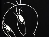 Комплект трикотажный для девочек: фуфайка (футболка), шорты