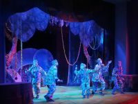 Театр кукол им. В. Машкова