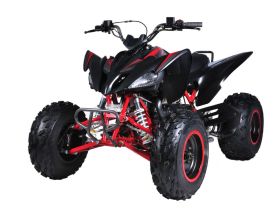 Квадроцикл MIKILON Rapide 200 EFI