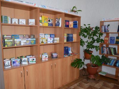 Маклинская модельная сельская библиотека