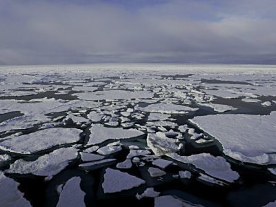 Минприроды: Месторождения твердых полезных ископаемых составят часть загрузки Севморпути