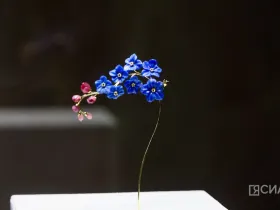 В Якутске открылась выставка Маргариты Зиминой «Цветы России»