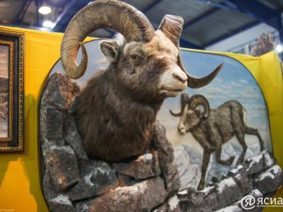 В Москве открыли международную выставку «Мир охоты и рыбалки»