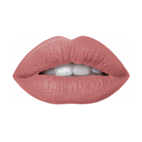 Стойкий карандаш для губ SHIKstudio Lip Pencil Monza