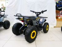 Электроквадроцикл MOTAX Grizlik X16 New E1000 Big Wheel