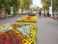 Парк культуры и отдыха «Центральный»