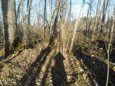 Усадьба. Парк