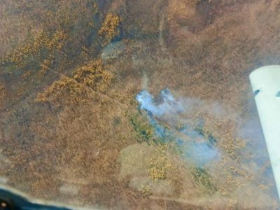 В 33 км от Покровска возник лесной пожар