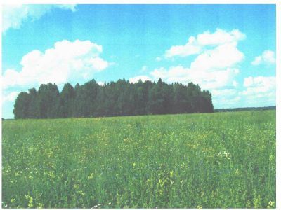 Священная роща
