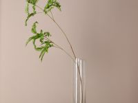 Ветвь Папоротник/Fern