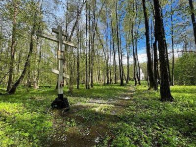 Тесницкий лес. Место расстрела и захоронений жертв массовых репрессий