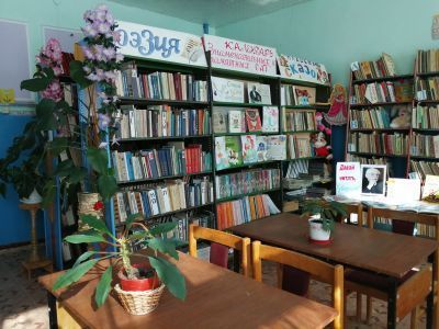 Елшанская сельская библиотека-филиал