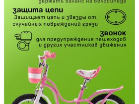 Детский велосипед Royal Baby Little Swan 14, год 2022, цвет Розовый