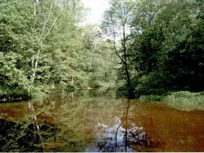 Павильон - колоннада на круглом островке (археологические фрагменты), середина  XIX века