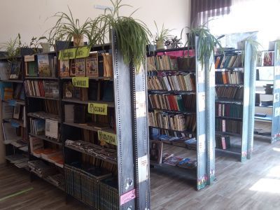 Камышевская сельская библиотека