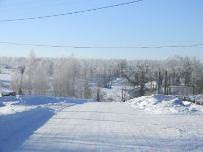 Участок леса, засаженный культурой дуба в  1896-1912 гг. лесничим  Б.И. Гузовским