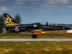 Полет на истребителе L-39