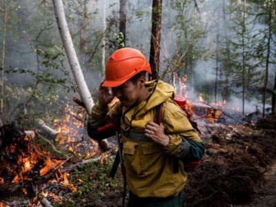 Сводка по лесному пожару и задымленности на 12 июля