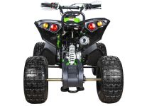 Квадроцикл YACOTA Renegade