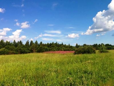 Братское захоронение советских воинов, погибших в 1919 г.