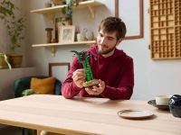 Botanicals 10344 Конструктор Счастливый бамбук