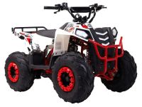 Квадроцикл WELS Thunder Evo M детский