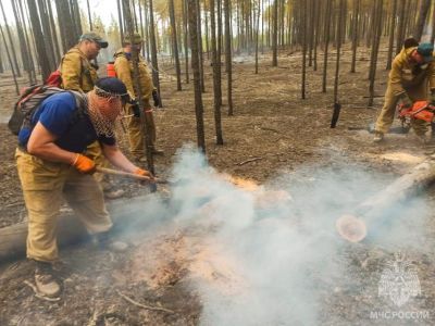 За сутки в Якутии ликвидировали пять лесных пожаров на площади более 20 тысяч га