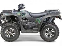 Квадроцикл СТЕЛС ATV 600 Y Leopard (ПСМ)