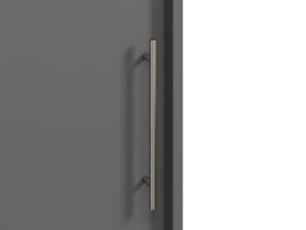 Шкаф-купе Тебар 4-220x230 Графитовый без зеркал