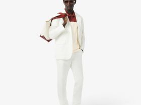 Мужское поло Lacoste из хлопка