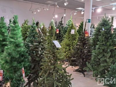 Минфин не поддержал идею введения нулевого НДС на мандарины и новогодние елки