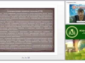 Условия организации дополнительного образования школьника в условиях реализации ФГОС ООО