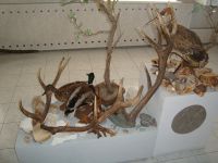 Историко-краеведческий музей г. п. Чегем