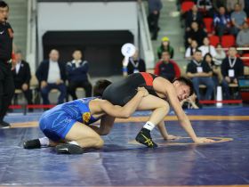 Два борца из Якутии стали обладателями серебряных медалей турнира Романа Дмитриева